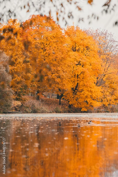 Obraz Autumn in the park