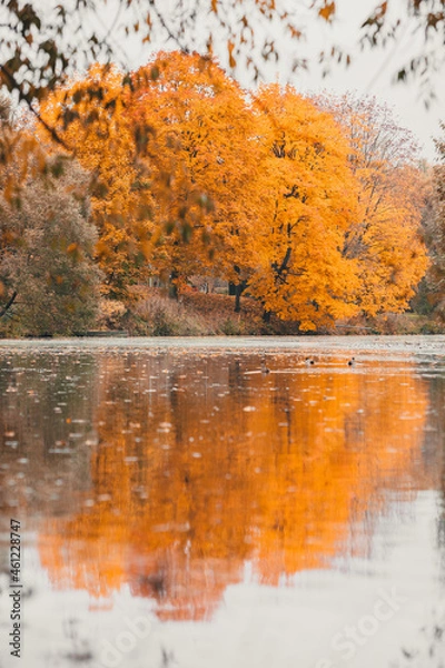 Obraz Autumn in the park