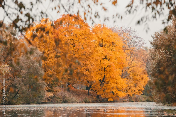 Obraz Autumn in the park