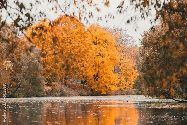 Obraz Autumn in the park