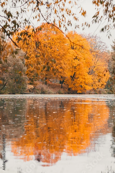 Obraz Autumn in the park