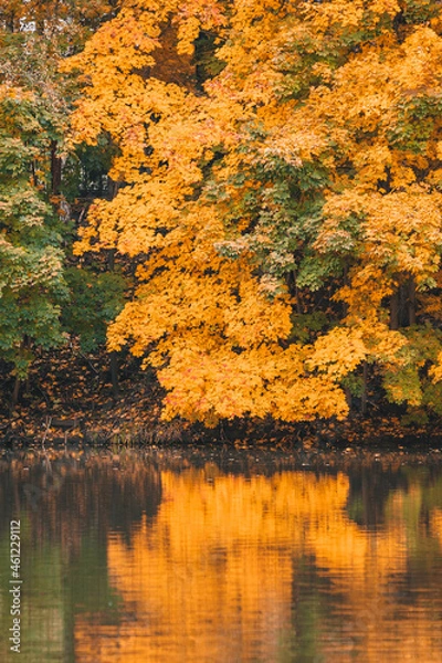 Obraz Autumn in the park