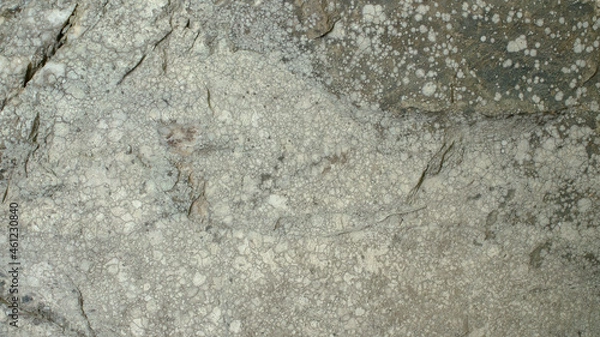 Obraz Gray white green scale stone texture for background, wallpaper, material for texture 3D