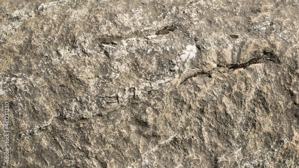 Obraz Brown crack stone texture for background, wallpaper, material for texture 3D