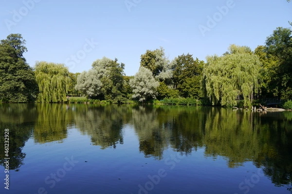 Fototapeta Teich mit Wasserspiegelung