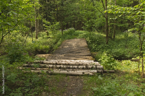 Fototapeta The timbered bridge in wood.