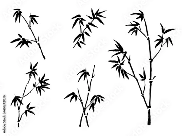 Fototapeta Vector bamboo black and white illustration. Outline and line art. Hand drawn ink art, freehand drawing. Japanise and chinese ink wash painting imitation.
