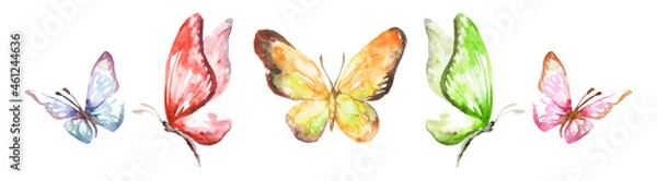 Fototapeta set of colourful butterflies isolated on a white background. High quality illustration