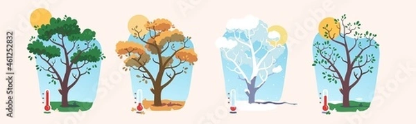 Fototapeta Summer, autumn, winter, spring tree weather set