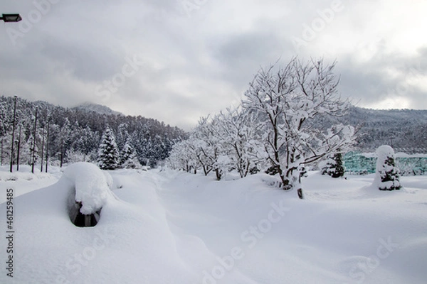 Obraz 雪国の景色　除雪された道