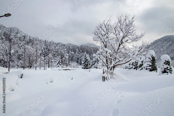 Fototapeta 綺麗に雪化粧した公園