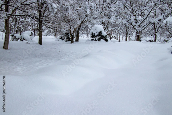 Obraz 真冬の雪景色