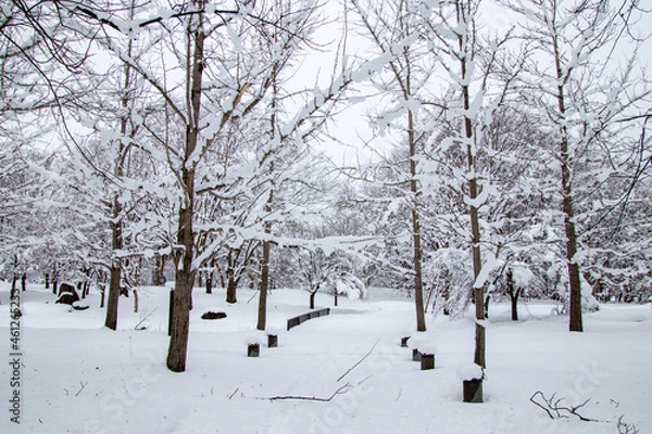 Obraz 雪の中の一本道