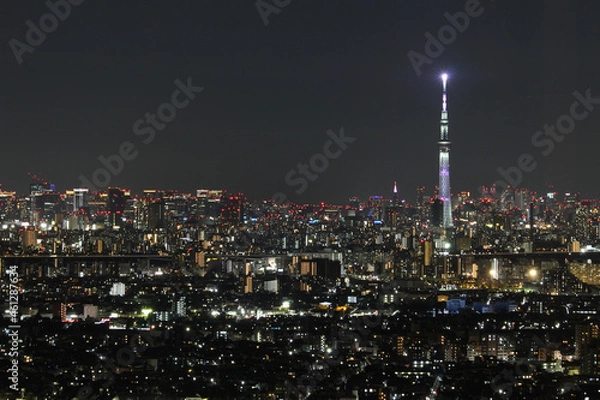 Obraz 東京夜景
