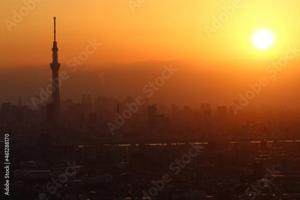 Fototapeta アイ・リンクタウンから見る東京の夕暮れ