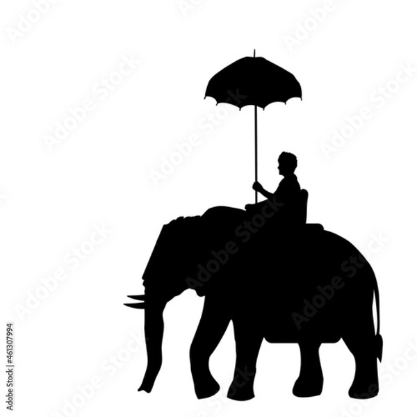 Fototapeta Silhouette elephant with rider. Elephant festival. Pooram festival.