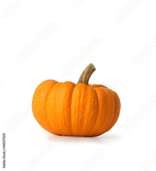 Obraz Mini Orange Pumpkin Isolated on White
