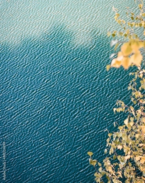 Obraz blue and yellow