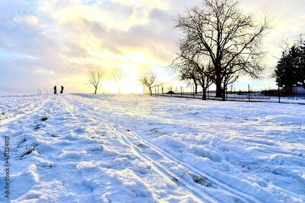 Obraz winter landscape with snow