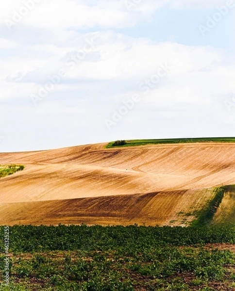 Obraz road in the field