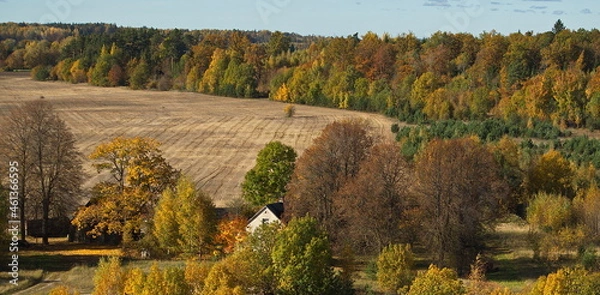 Fototapeta Aerial view of houses and yellow trees in autumn day, Priedaine, Latvia.