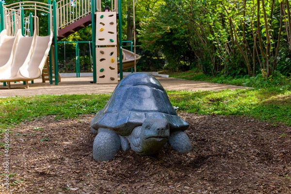 Fototapeta a turtle on the playground.