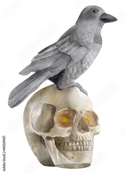 Obraz Watercolor Skull, Isolated on white background