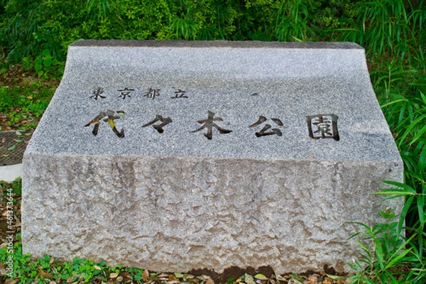 Obraz 代々木公園入り口