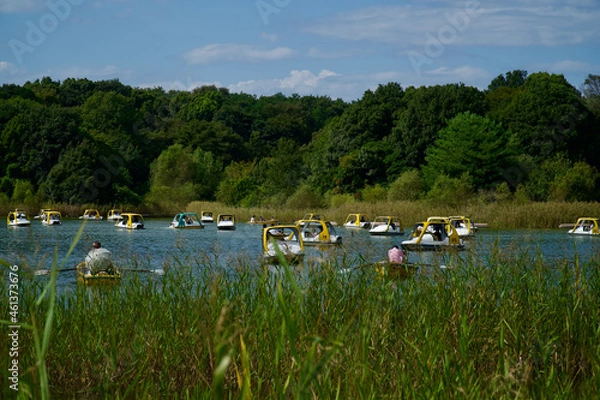 Obraz 国営昭和記念公園の池