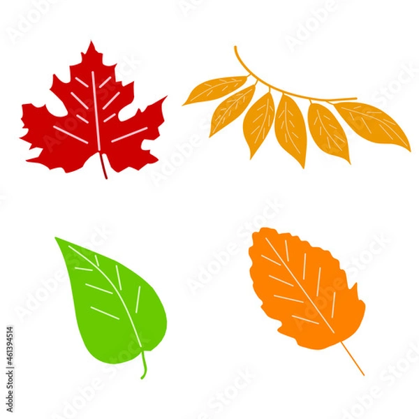 Fototapeta vector autumn leaves in flat graphics and cartoon style and on a white background. bright leaves botanical illustration leaves