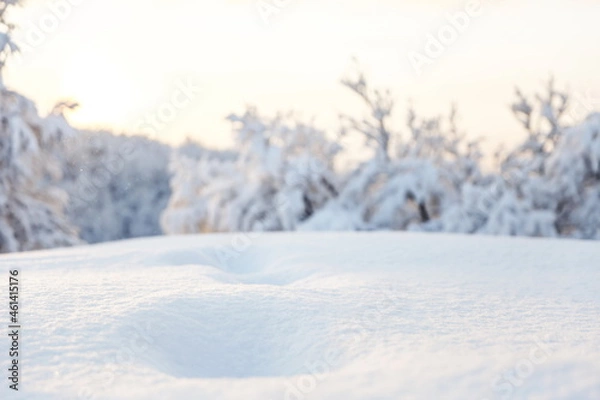 Fototapeta snow close up on the background of trees on a sunny winter day 