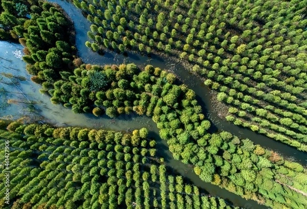 Obraz Tourists enjoy themselves on a raft during the National Day holiday in Suqian city, East China's Jiangsu Province, Oct. 6, 2021.