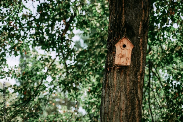 Fototapeta Bird house on a tree in summer