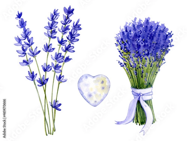 Obraz Watercolor elements. Clip art with lavender. Lavender bouquet, lavender twigs, heart.
