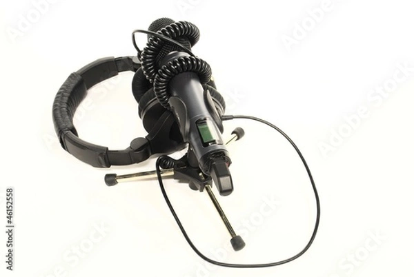 Obraz microphone entrapment 2