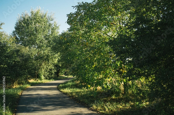 Obraz Exploring roads less ridden, little adventures around hometown