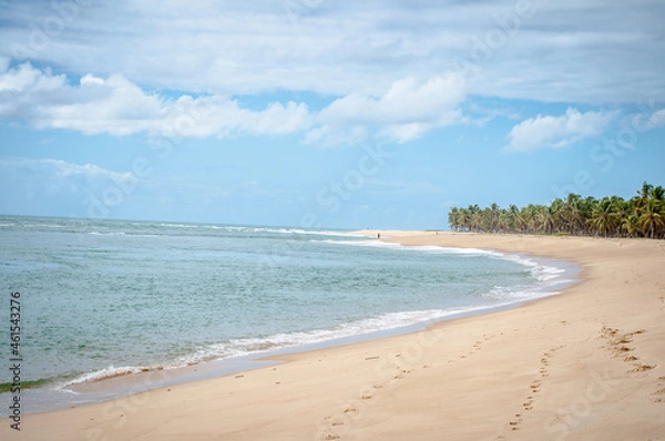 Fototapeta Alagoas State Beach