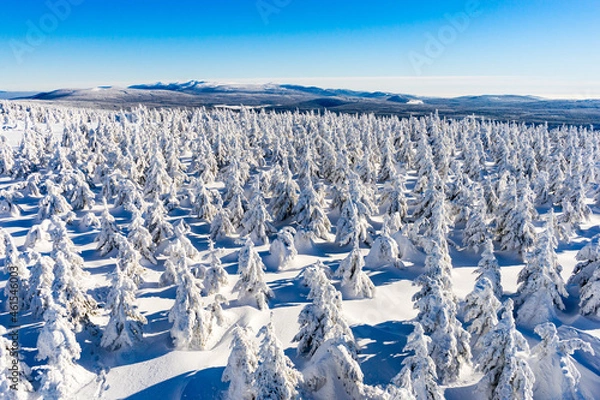 Obraz winter landscape in the mountains