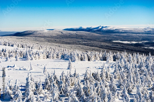 Obraz winter landscape in the mountains