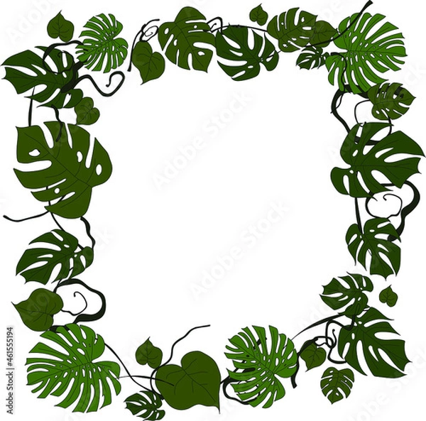 Fototapeta Monstera leaves frame for your design, copyspace