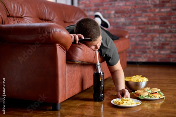Fototapeta Fat Lazy Boy Taking Fries From Plate Lying On Sofa, Alone At Home, Teenager Boy Having Rest After School, Relaxed. Caucasian child lead unhealthy lifestyle, eating junk meal. overweight, obesity