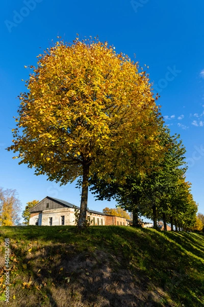 Obraz Autumn landscape with trees