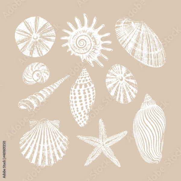 Fototapeta Set of ten seashells. Black ink brush texture.
