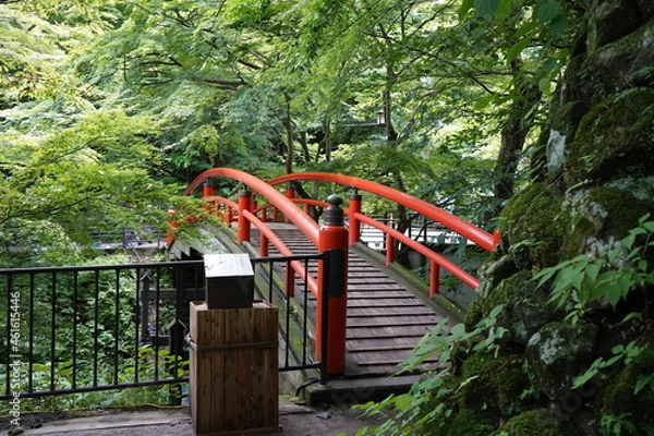 Fototapeta 伊香保の橋