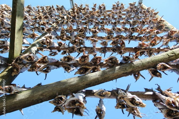 Obraz Stocafisso appeso