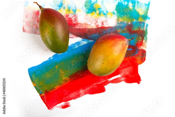 Obraz Two mango on colorful painted background