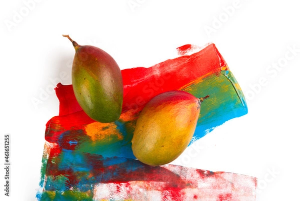 Obraz Two mango on colorful painted background