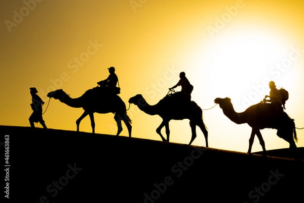 Fototapeta A caravan of camels with tourists moves through the dunes of the Sahara desert at sunset