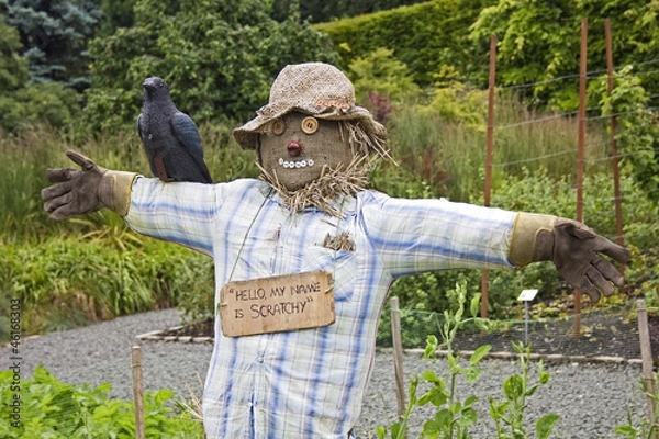 Obraz Scarecrow in Pollok Park