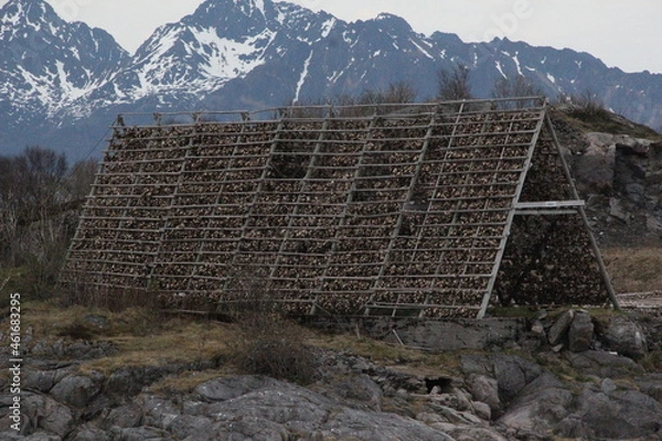 Obraz Stocasfisso Appeso